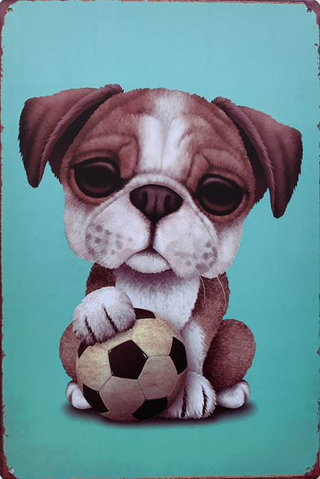 Retro metalen bord limited edition - Dog with football