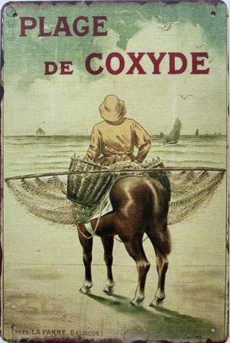 Retro metalen bord limited edition - Plage de Coxyde