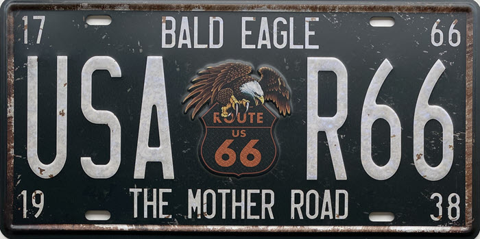 Retro metalen bord nummerplaat - Bald eagle