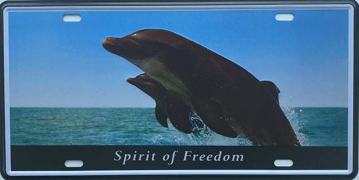 Retro metalen bord nummerplaat - Spirit of freedom