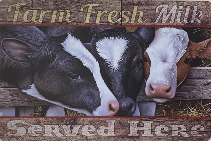 Retro metalen bord vlak - Farm fresh milk