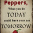 Retro metalen bord limited edition - Life is like peppers