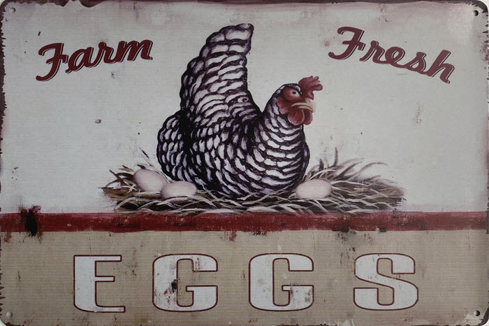 Retro metalen bord limited edition - Farm fresh eggs