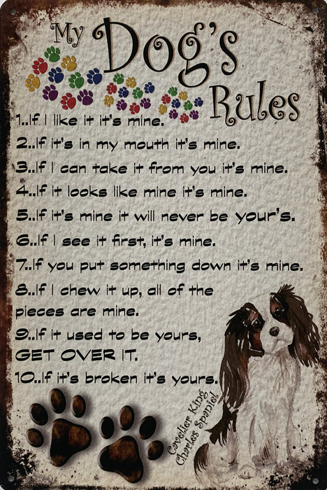 Retro metalen bord limited edition - My dog's rules Charles Spaniel