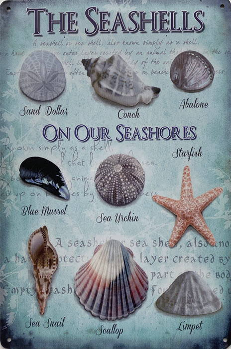 Retro metalen bord limited edition - The seashells