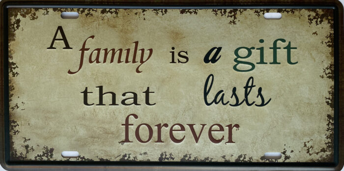 Retro metalen bord nummerplaat - A family is a gift