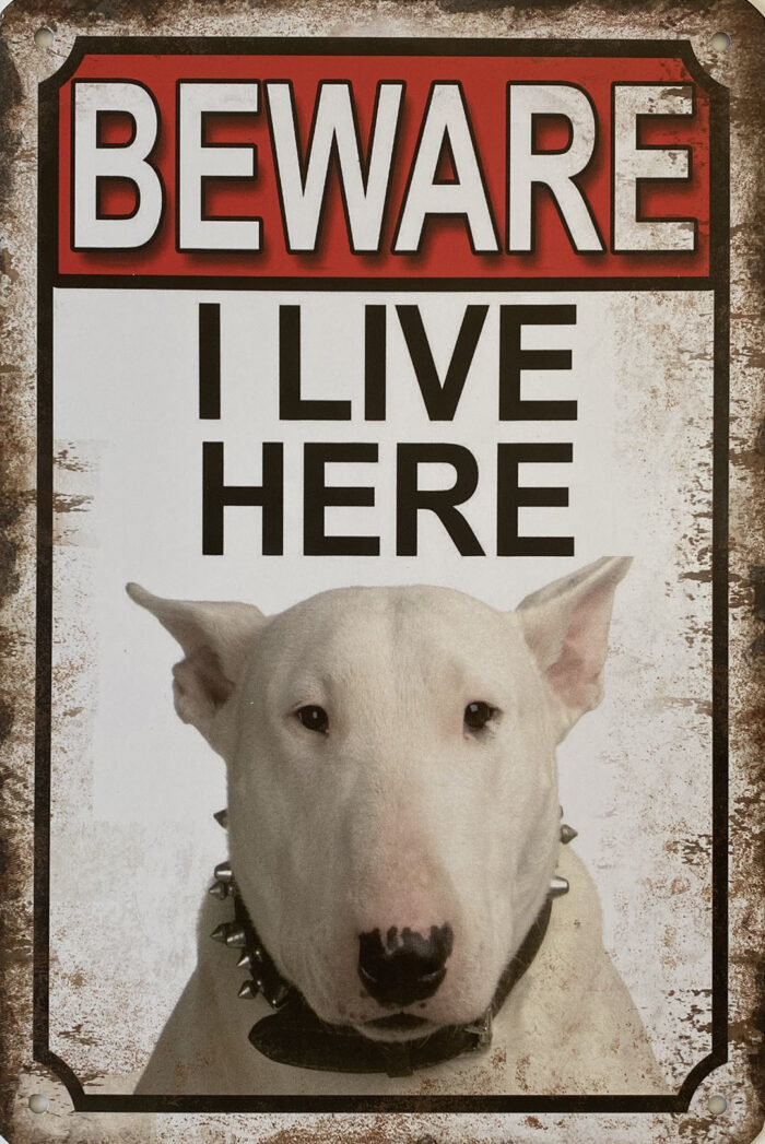 Retro metalen bord vlak - Beware Bull Terrier 2