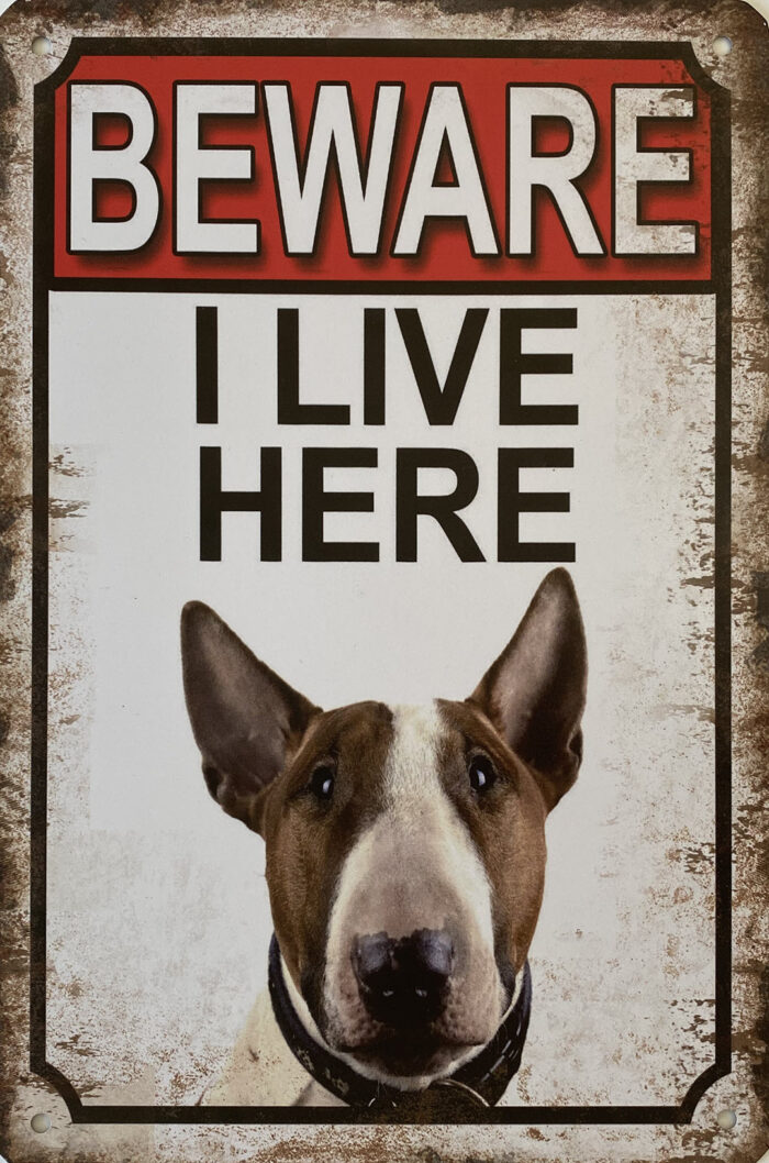 Retro metalen bord vlak - Beware Bull Terrier
