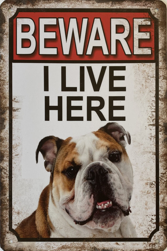 Retro metalen bord vlak - Beware Engelse Bulldog