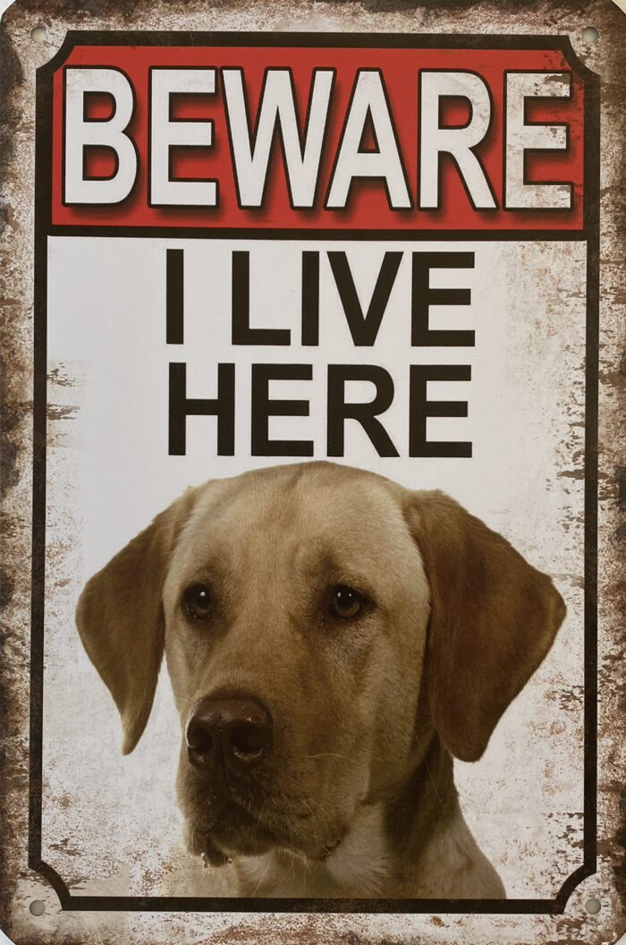 Retro metalen bord vlak - Beware Labrador