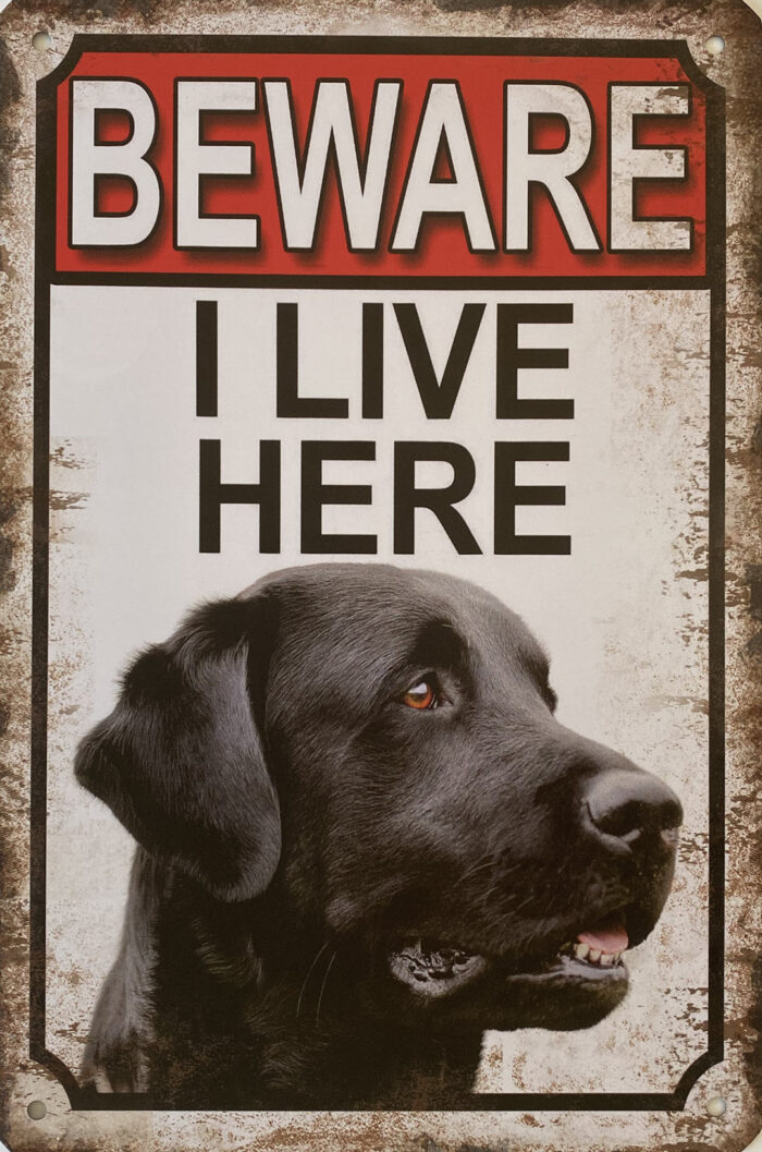 Retro metalen bord vlak - Beware Labrador zwart