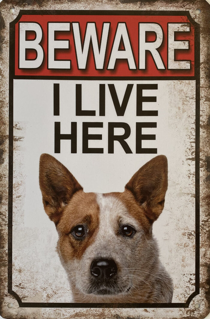 Retro metalen bord vlak - Beware dog