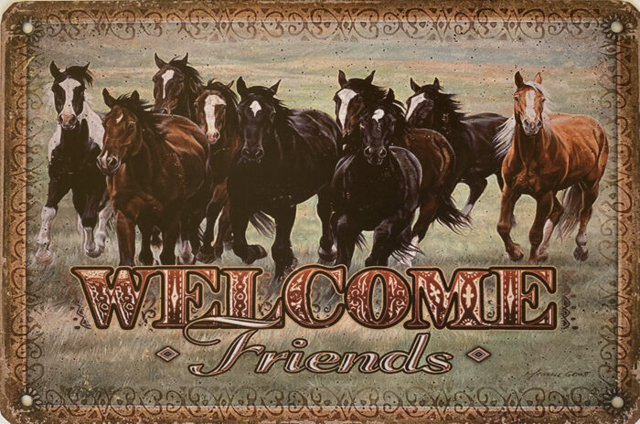 Retro metalen bord vlak - Welcome friends horses