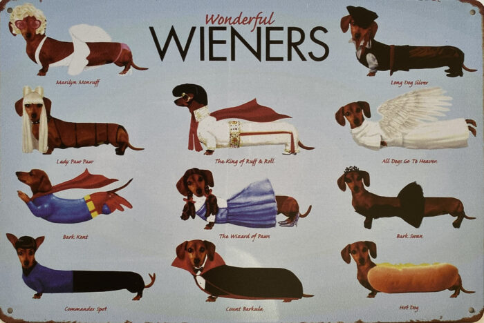 Retro metalen bord vlak - Wonderful wieners