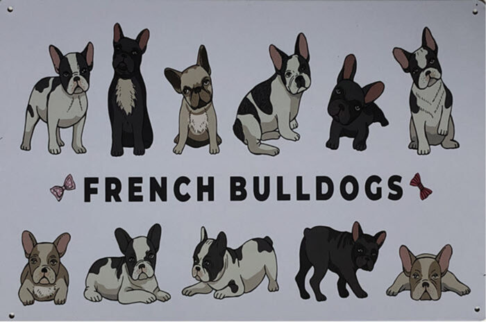 Retro metalen bord vlak - French bulldogs