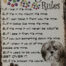 Retro metalen bord vlak - My dog's rules