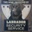 Retro metalen bord vlak - Labrador black security service