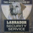 Retro metalen bord vlak - Labrador white security service