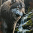 Retro metalen bord vlak - Wolf bij een waterval